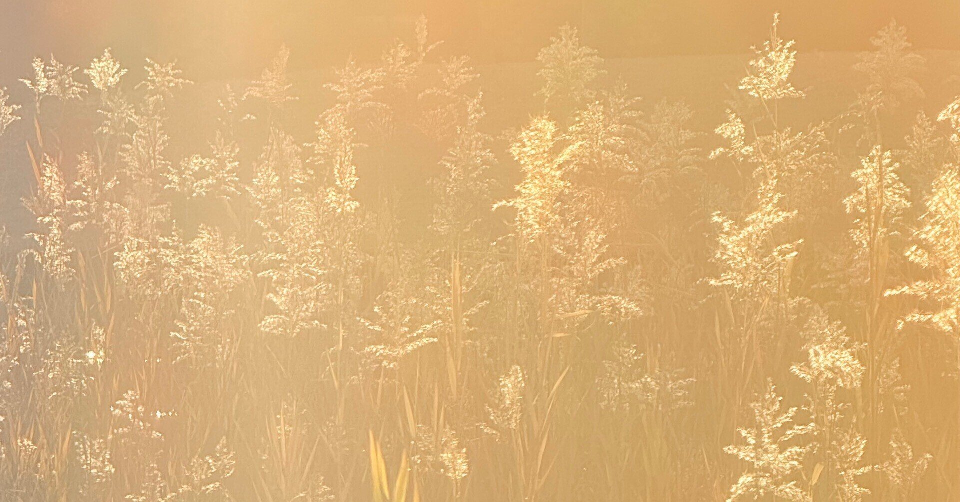 ⭐︎通電確認済　昭和レトロ　ニャンニャンメイト　私とあなたの相性診断 ⭐︎通電確認済 昭和レトロ ニャンニャンメイト 私とあなたの相性診断