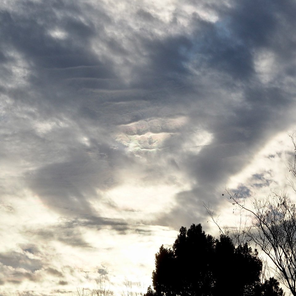 岐路 鈴木邦弘 Note