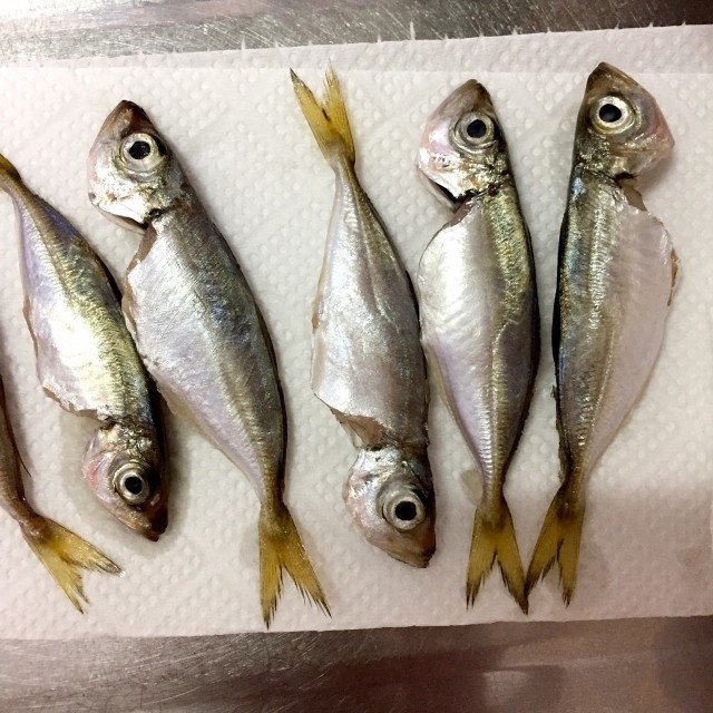 簡単節約レシピ １度の調理で２日楽しむ 旬の豆アジ 宮永千恵 Note