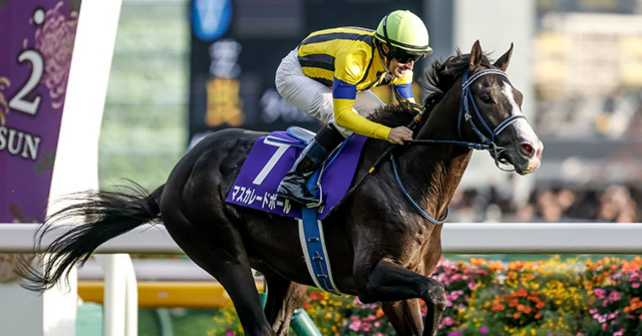 マスカレードボール　メイクデビュー〜ジャパンカップ　現地購入記念馬券　８枚セット 📘【ジャパンカップ物語】マスカレードボール──まだ序章にすぎない
