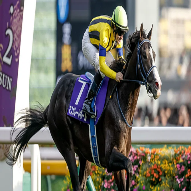 マスカレードボール　メイクデビュー〜ジャパンカップ　現地購入記念馬券　８枚セット マスカレードボール メイクデビュー〜ジャパンカップ 現地購入記念馬券