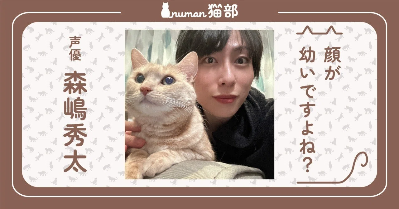 森嶋秀太、子猫のくるみちゃん写真大公開「顔が幼いですよね