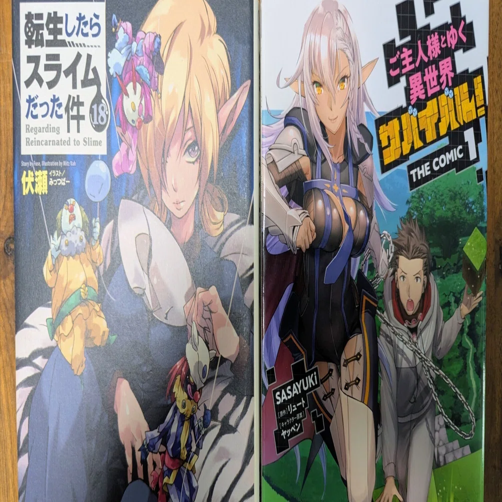 最高に面白いファンタジーライトノベルにいかにはまっていったか