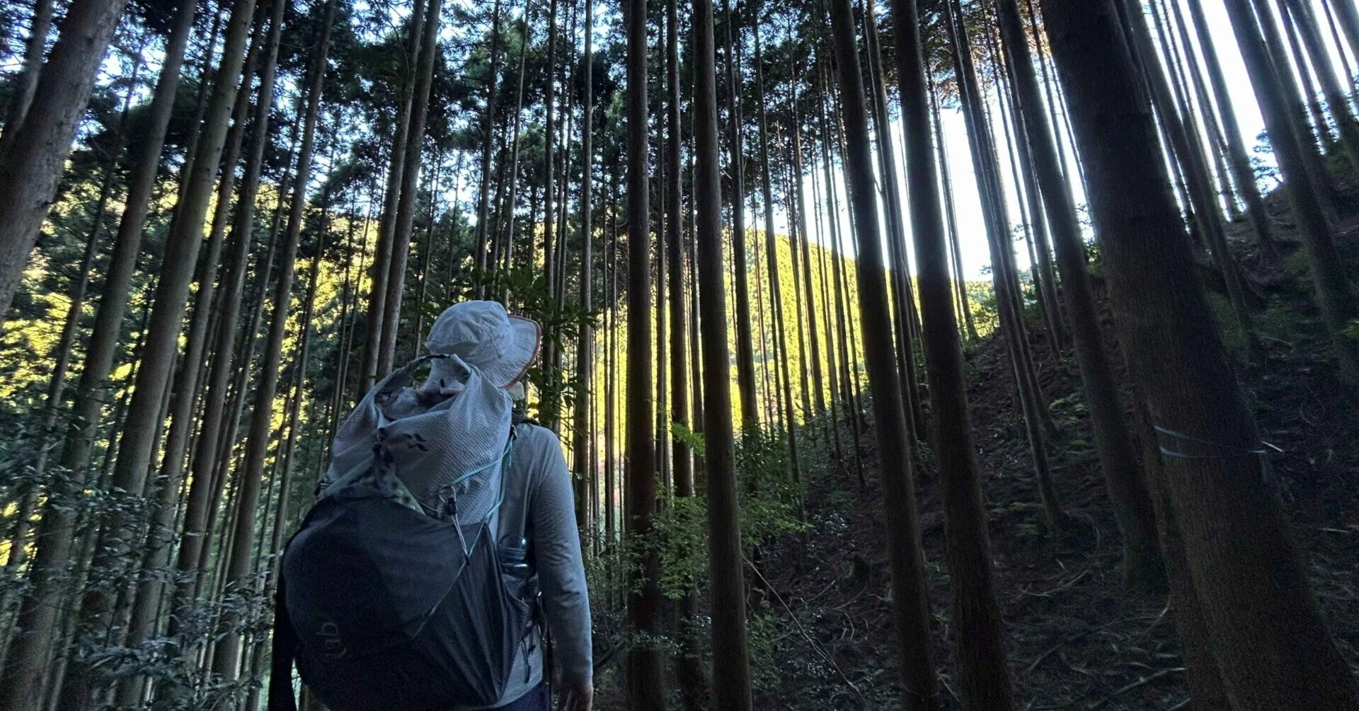 熊野古道中辺路 弾丸旅でカミーノデサンチアーゴとのDual Pilgrim達成