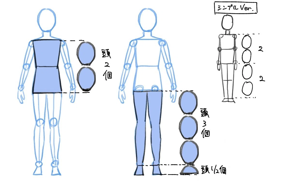 足 の 長 さ 割合