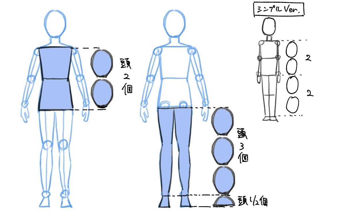 人体の作画 パーツの比率の目安 Jo Note 人体の作画 パーツの比率の目安 Jo Note