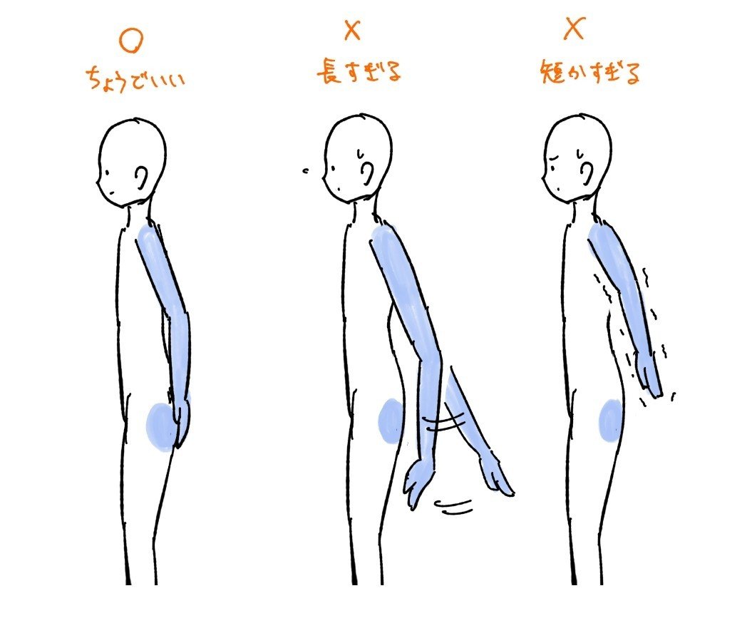 人体の作画 パーツの比率の目安 Jo Note 人体の作画 パーツの比率の目安 Jo Note