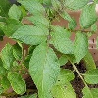 Klwpで画面変更2種類 Tokino Note Klwpで画面変更2種類 Tokino Note