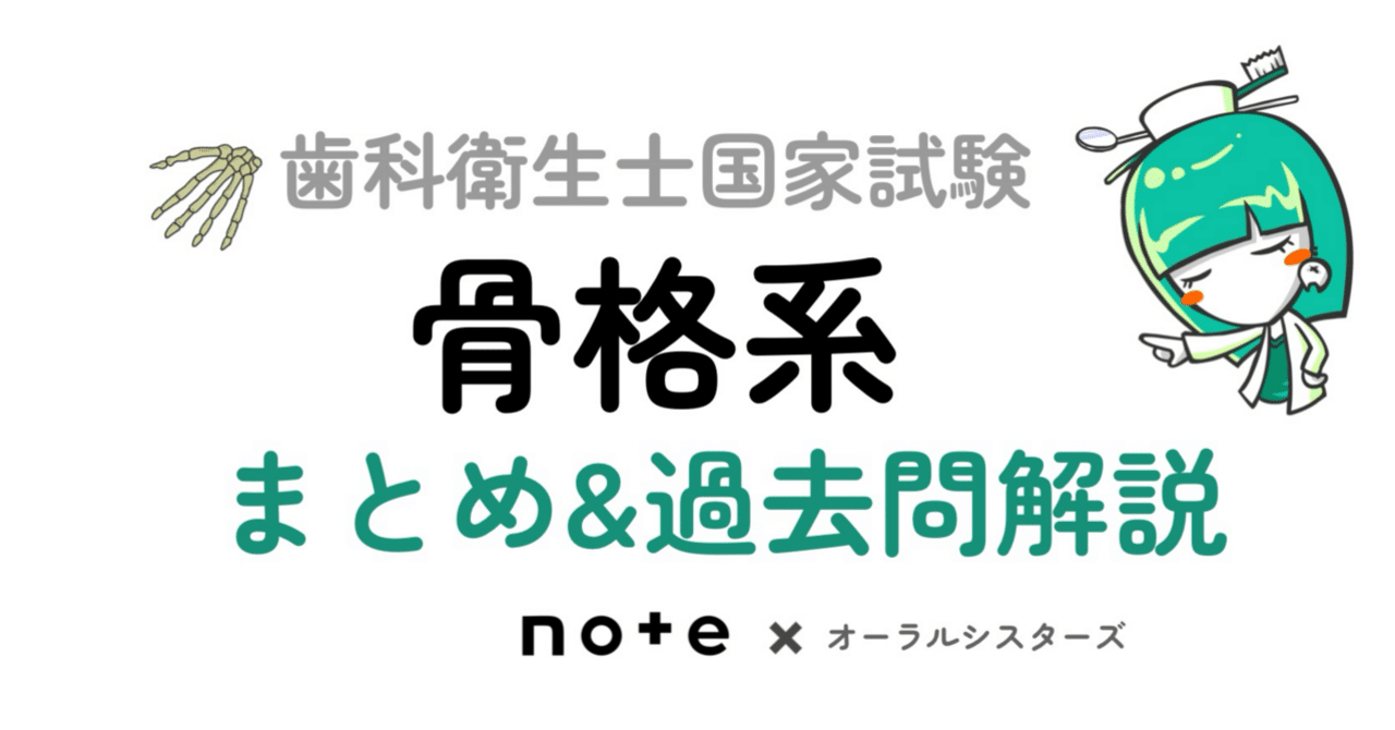 📎まとめ【骨格系】PDF📄歯科衛生士国家試験｜オーラルシスターズ