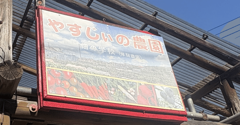 小春日和の農園 葉物の収穫が続く