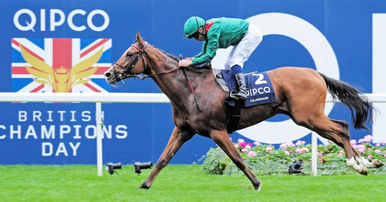 ジャパンカップ2025／カランダガンの考察｜追い切り・調教重視の競馬予想