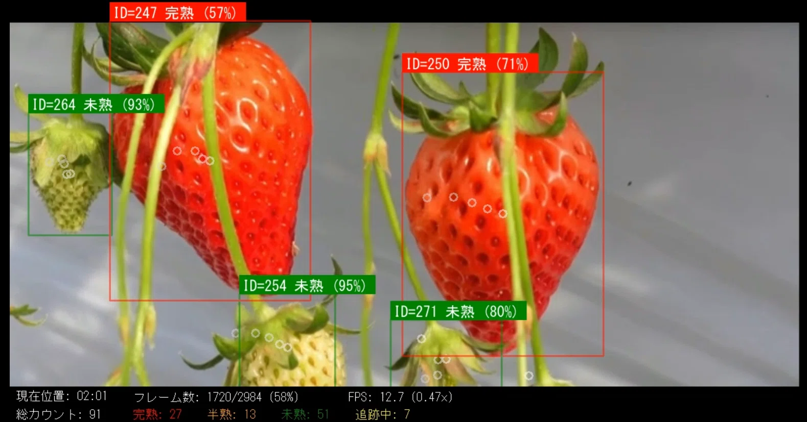 農業×IT】いちごAIが“動くいちご”を追跡！リアルタイム動画認識に挑戦