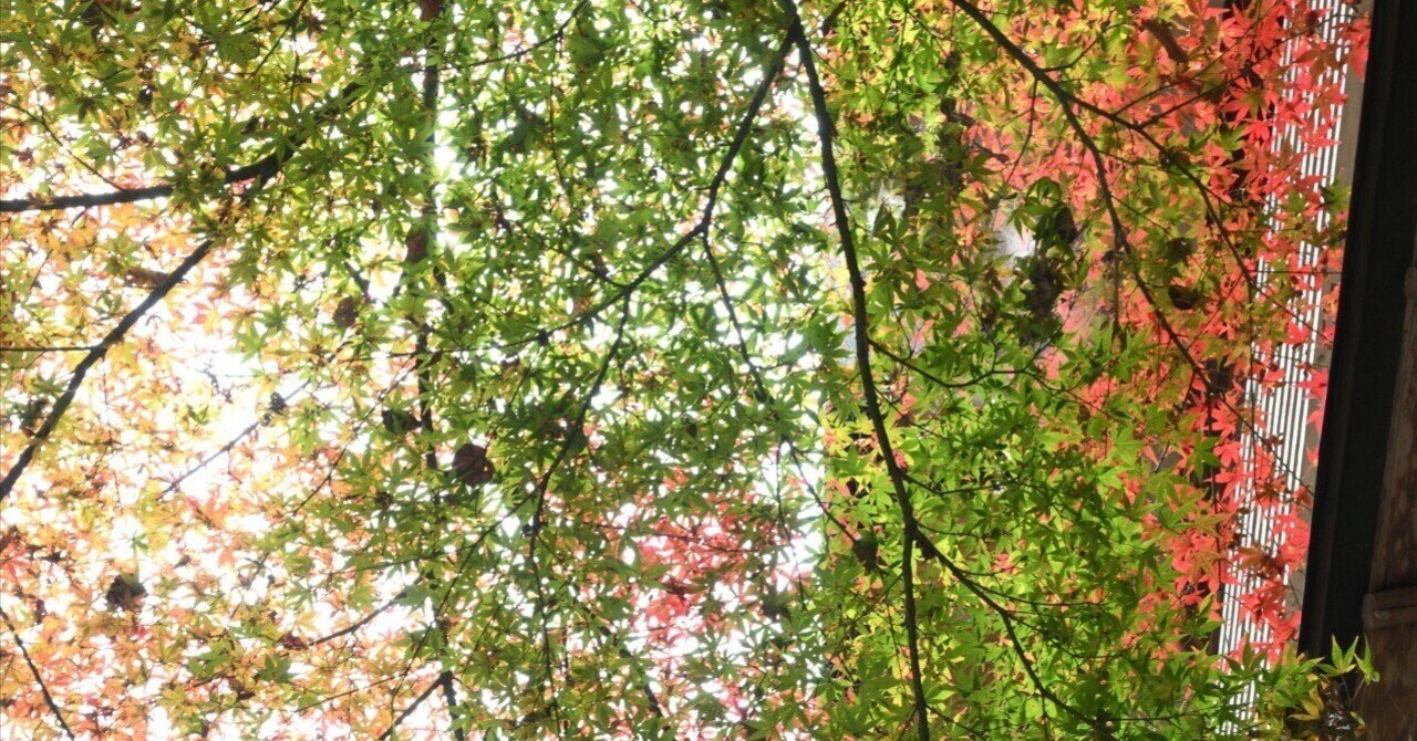 Z50IIで撮る京都（貴船の紅葉）｜HAJ