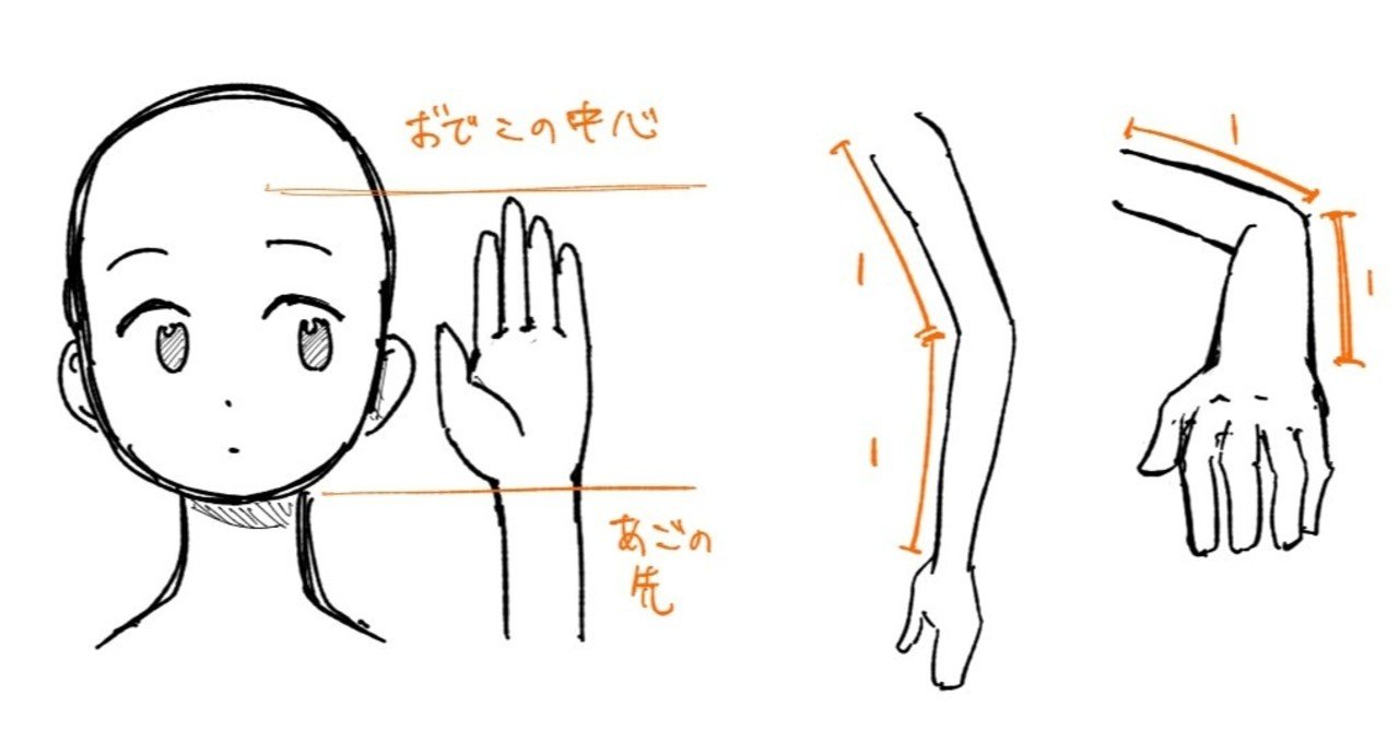 人体の作画 パーツの比率の目安 Jo Note