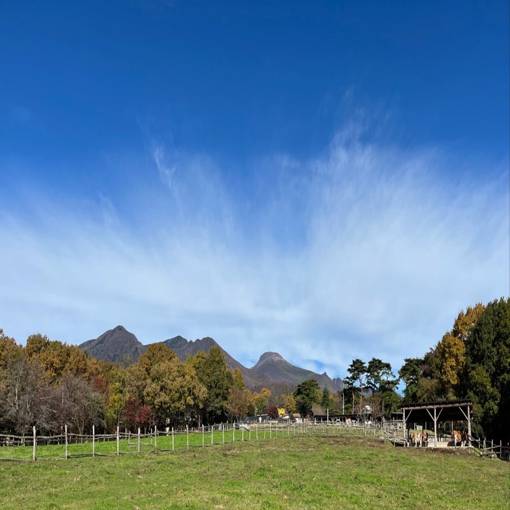 日経スクラップ AI株価（オープンAI、ソフトバンク） TOB（マンダム、織機、キヤノン電子）｜Alpha Watcher