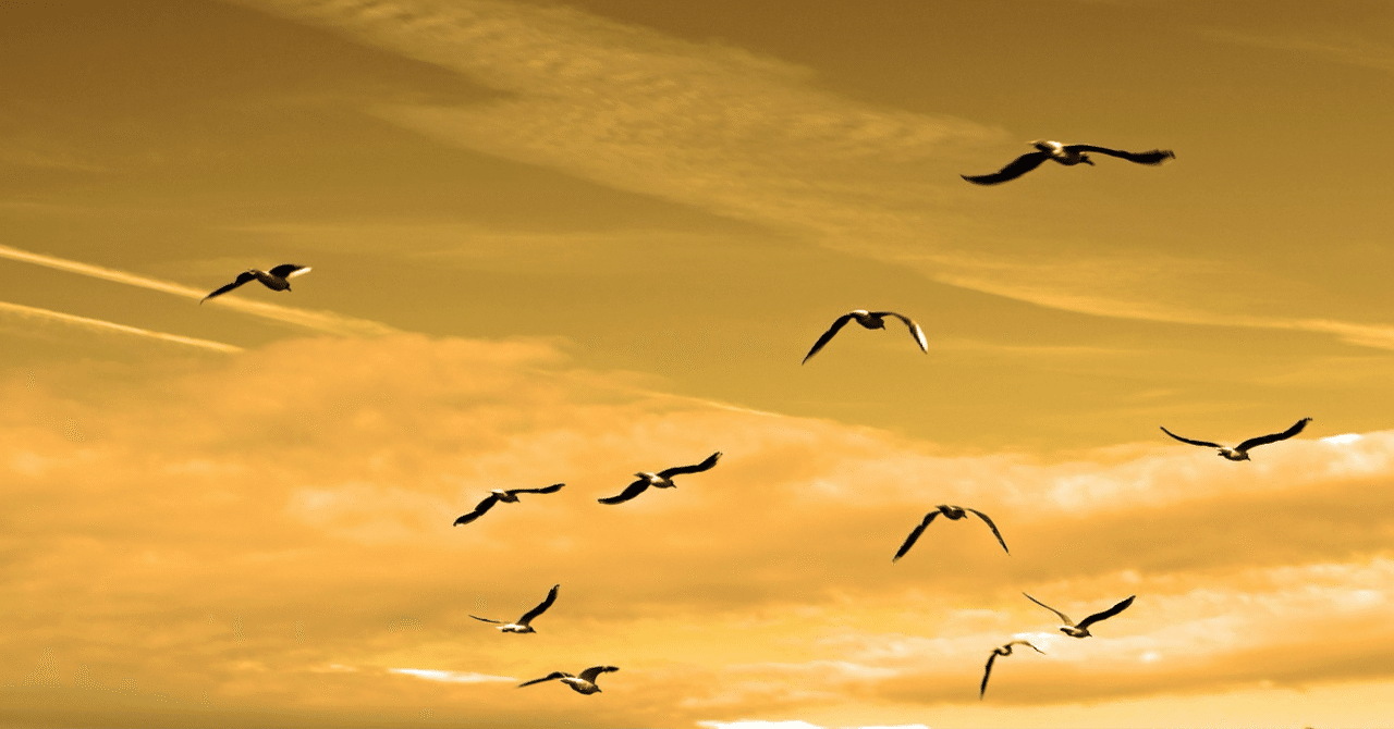 『君をのせて』僕らをのせて【音楽つぶやき】｜Daniel x Inoue《ダニエル×イノウエ》