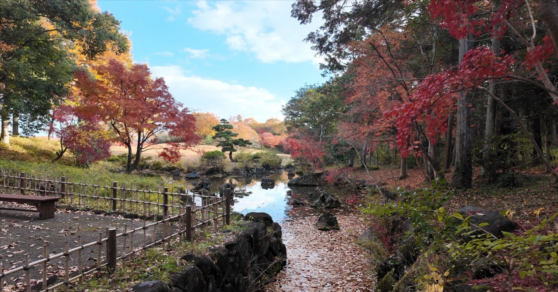 愛知県緑化センター】香嵐渓より静かな豊田市の紅葉穴場 — 日本庭園と