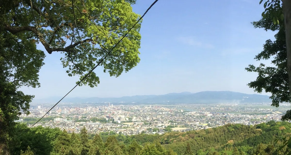 画像8