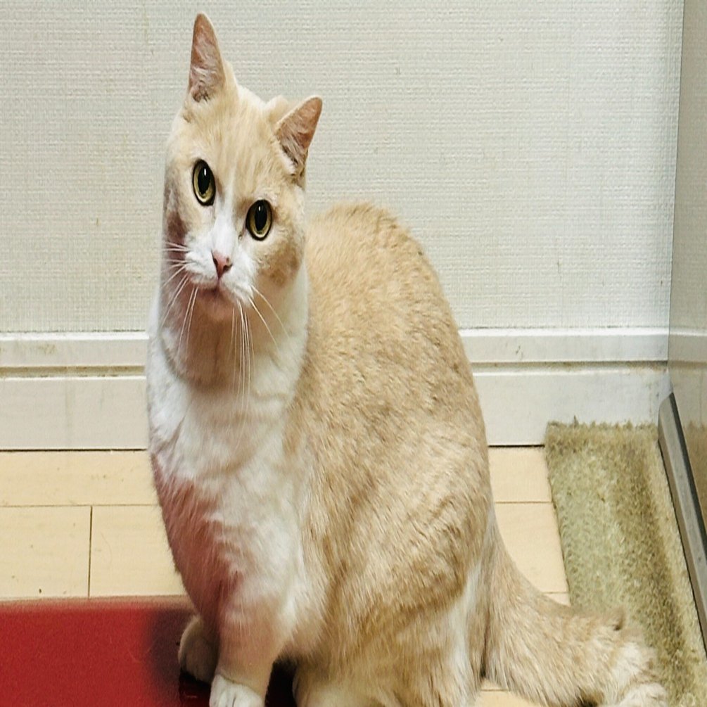 不機嫌とご機嫌の関係｜Andrea＠ポジティブマインドクリエイター, image size:1920x1005