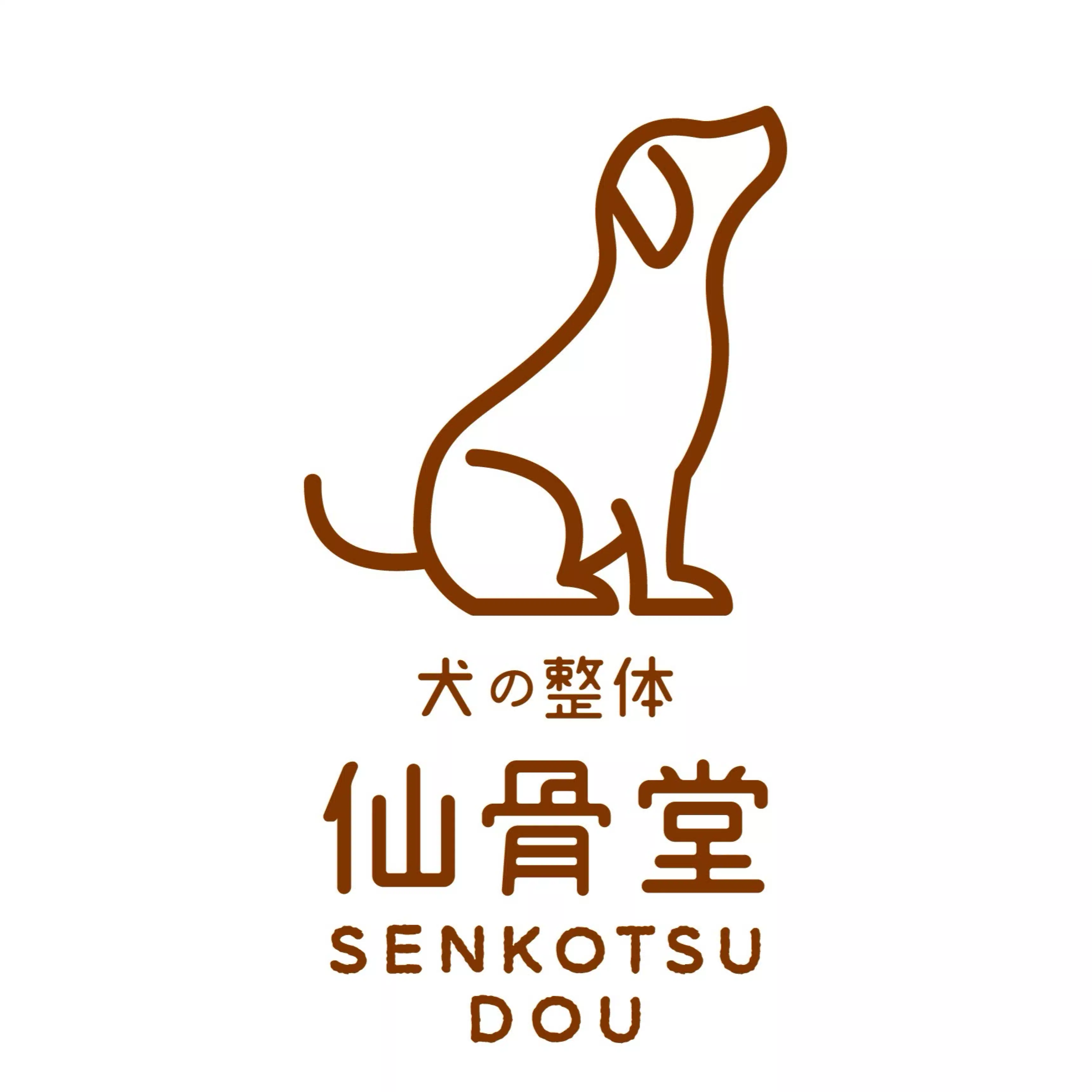 犬の整体 仙骨堂