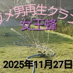 激レア　プラレス3四郎 Vol.01・02　2巻　藤川桂介　いのまたむつみ　廃盤 プラレス3四郎｜148neoガイドブック。