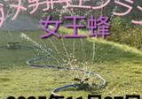 プラレス3四郎|148neoガイドブック。 プラレス3四郎|148neoガイドブック。