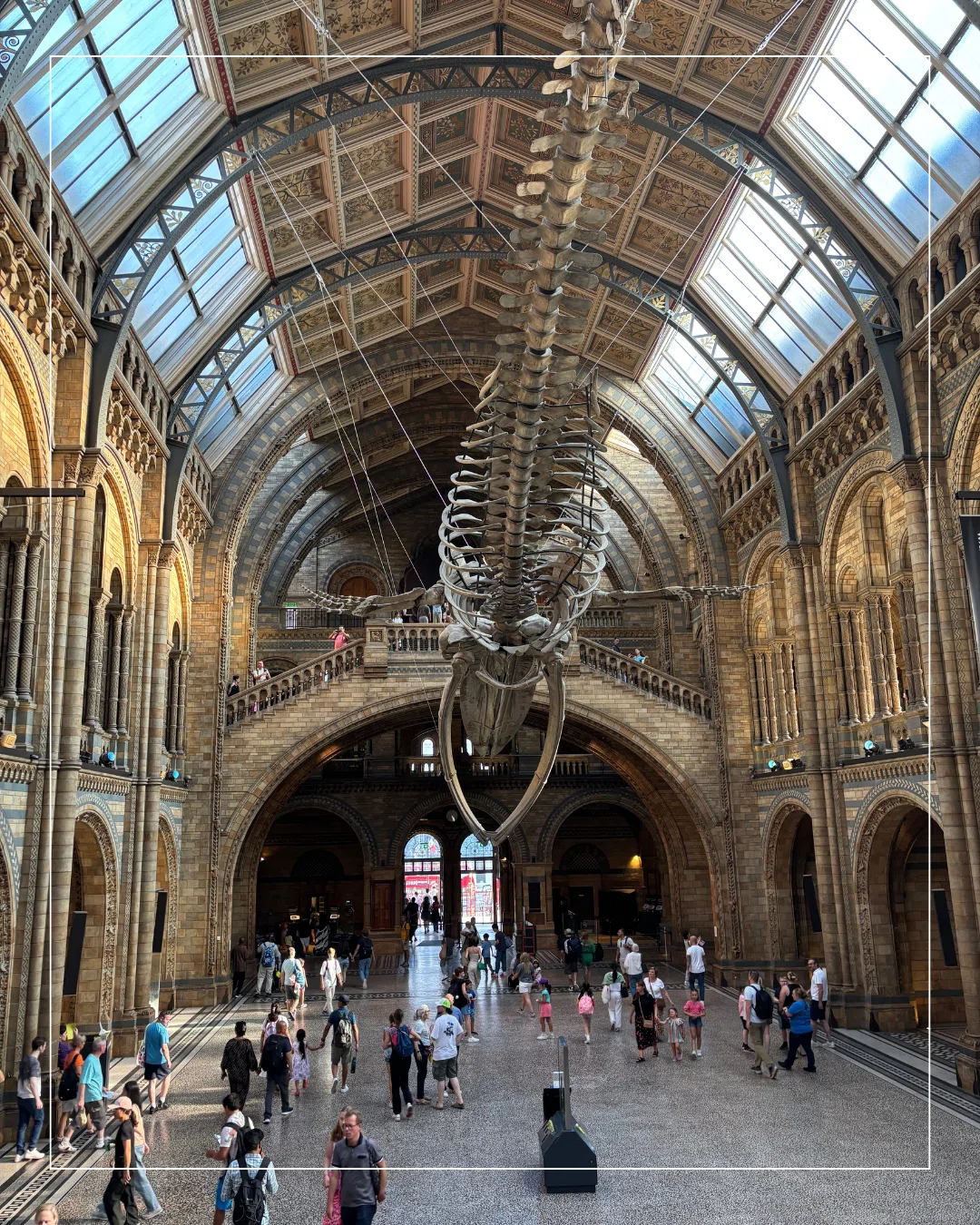 12 夜の美術館（自然史博物館・V＆A） 9日間のロンドン旅｜ぴー©︎旅