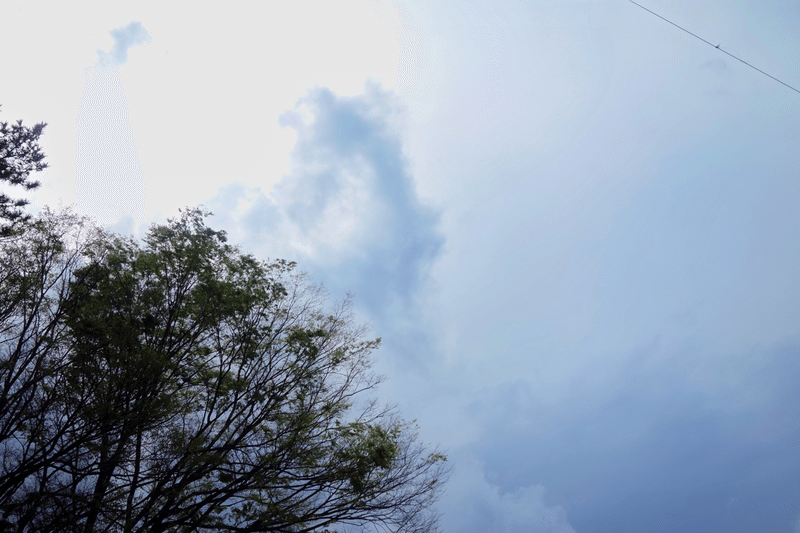 負けないように枯れないように Kato T Note