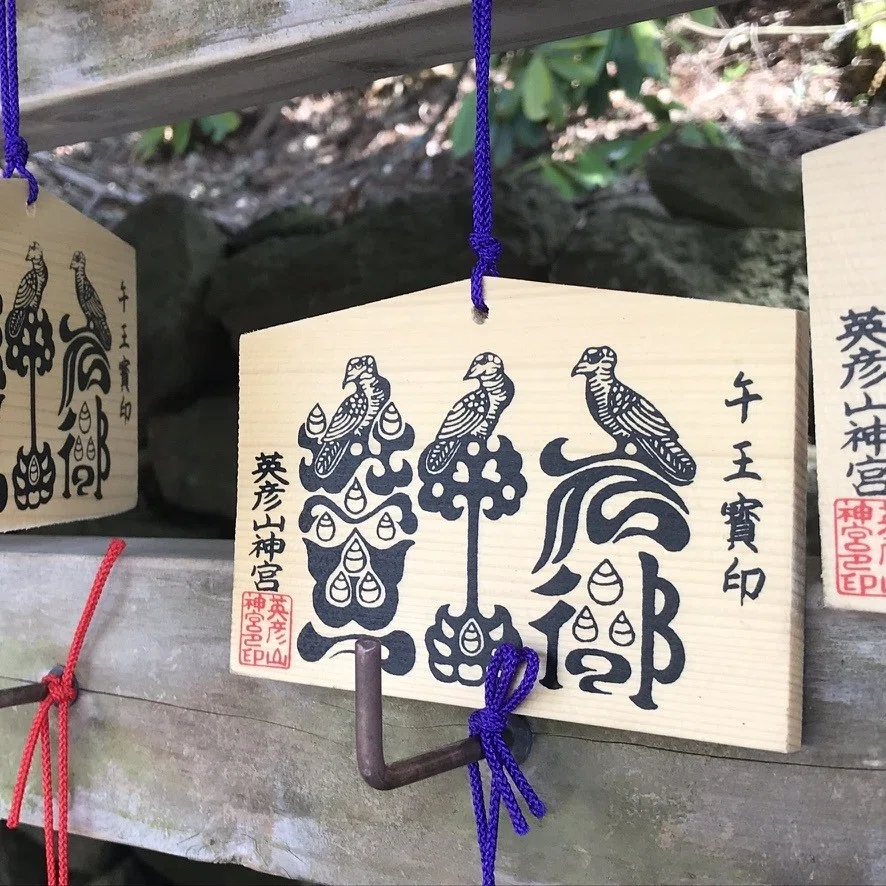 画像7