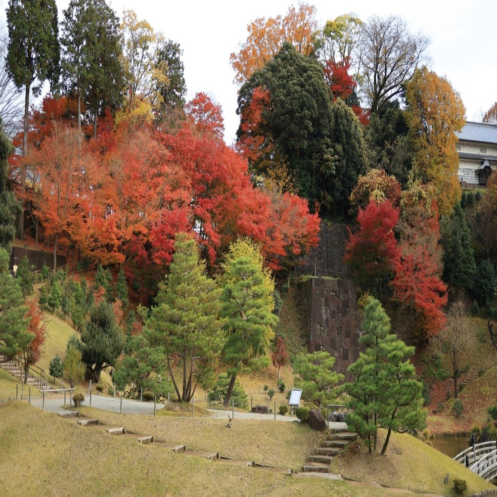 金沢城公園で紅葉スナップ EOS R8｜kenken