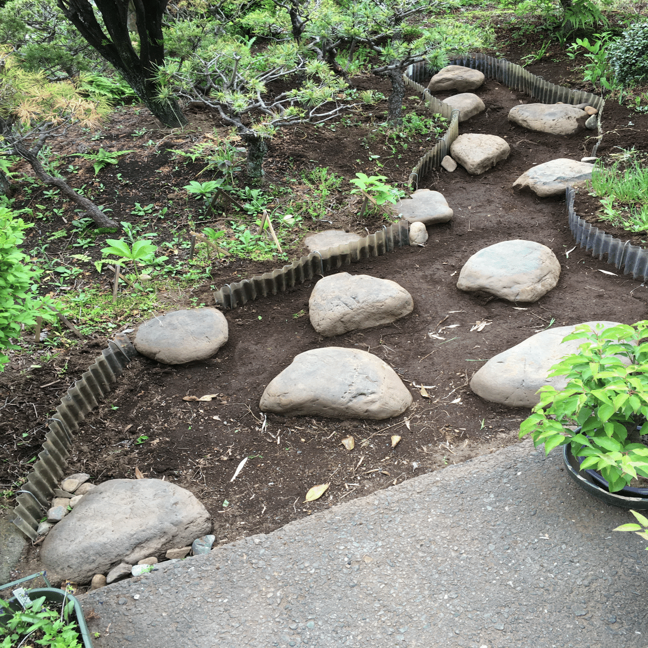 箱庭石庭と枯山水造園｜清野春光