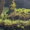 ヤノスケ