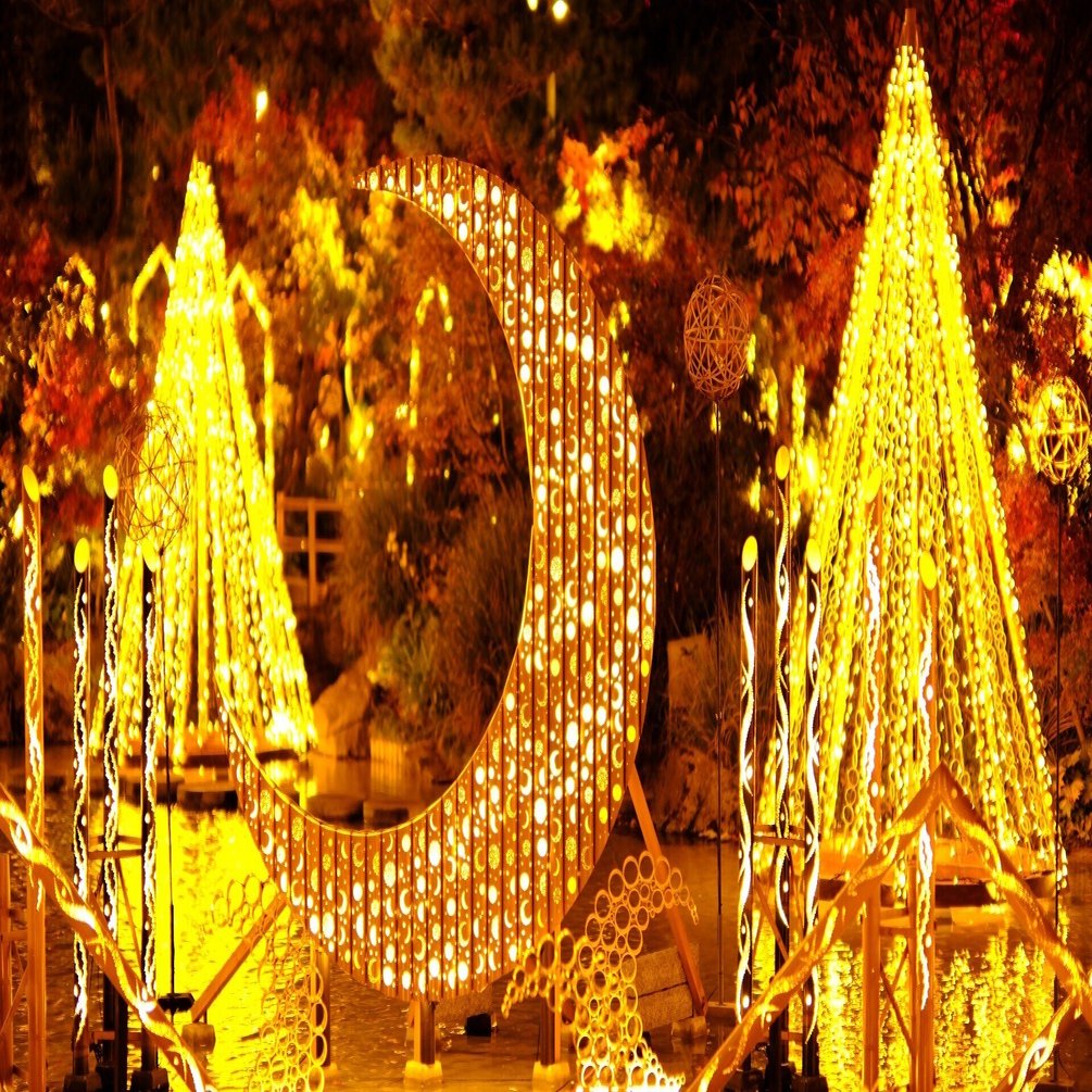 イルミネーション、光を捉えたい夜/FUJIFILM X-T50撮影写真記録22