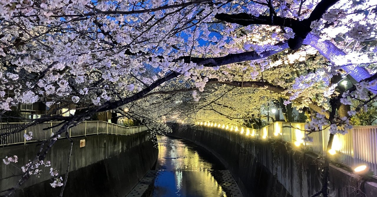 隅田公園～山谷堀公園～染谷霊園～神田上水公園～妙法寺の夜桜【桜旅行