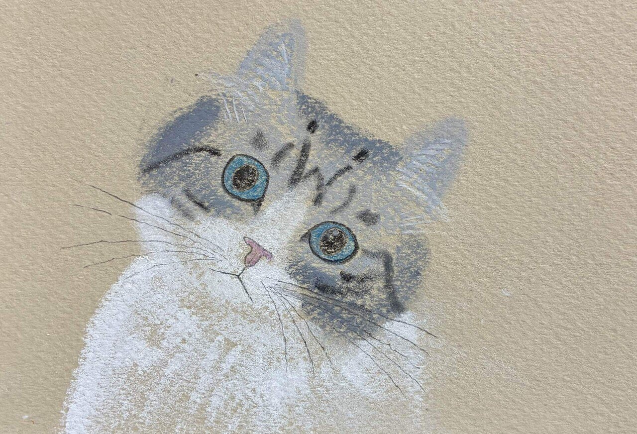 猫のパステル画の描き方です。｜まる