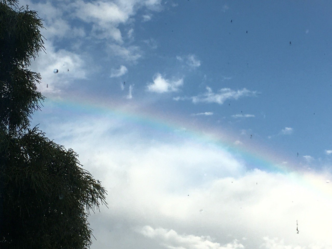 雨上がりの空 ちびのん カラフルぽけっと Note