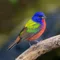 ポーカープロが解説するよtori🐦