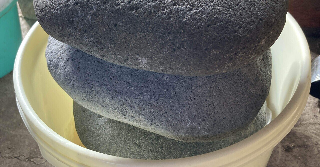 沢庵を作ろう！③・水が上がらないのはなぜ？～はたけの様子20251121