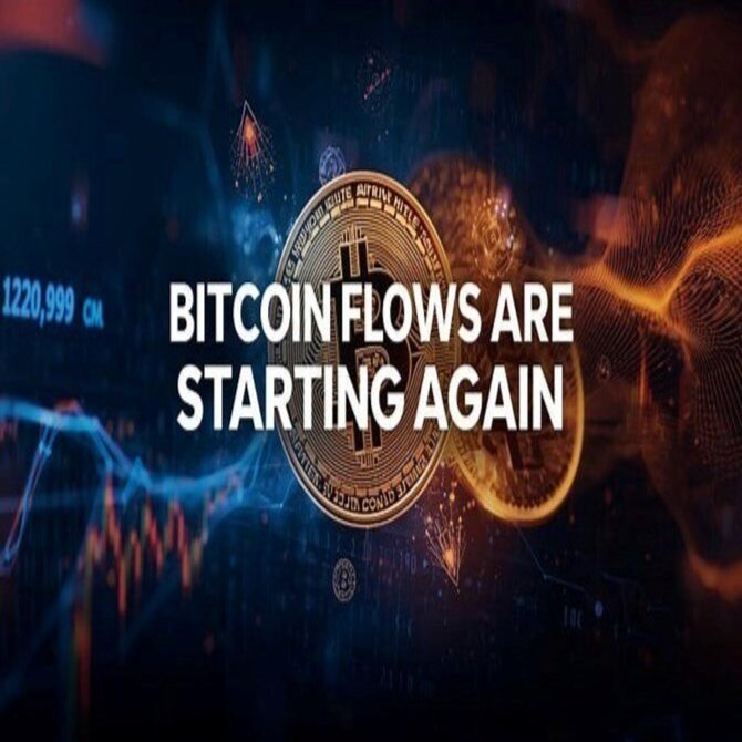 ビットコインのフローが再び始まっている：これはあなたの仮想通貨ポートフォリオにとって何を意味するのか(Bitcoin Flows Are  Starting Again: What This Means ｜終活の準備