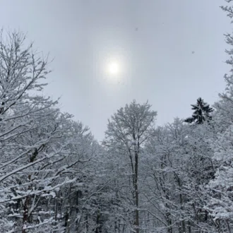 Snow❄️Yukihikari