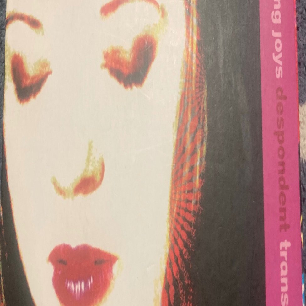 Fleeting Joys/Despondent Transponder アルバムレビュー そして 追悼