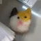 パイン