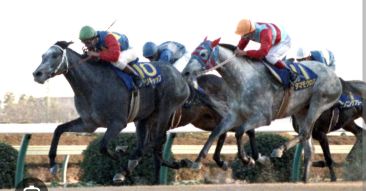 🏎️🏇🏇芦毛コンビ👩👩京都におこしやすー(≧∇≦)/2025年11月29日(土