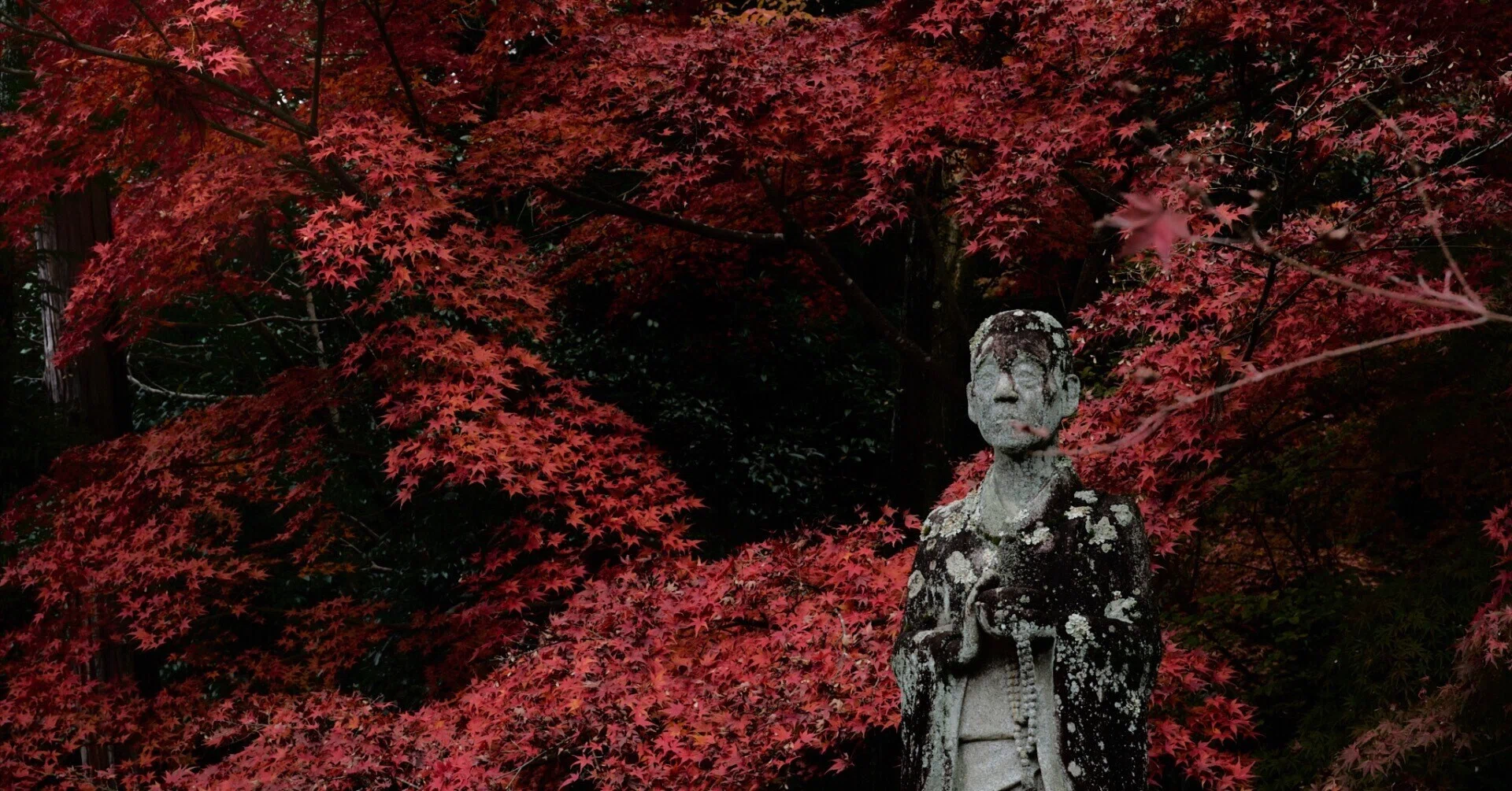 もし今から写真を始めるなら——10年戦える機材と環境の話｜005 akkiy