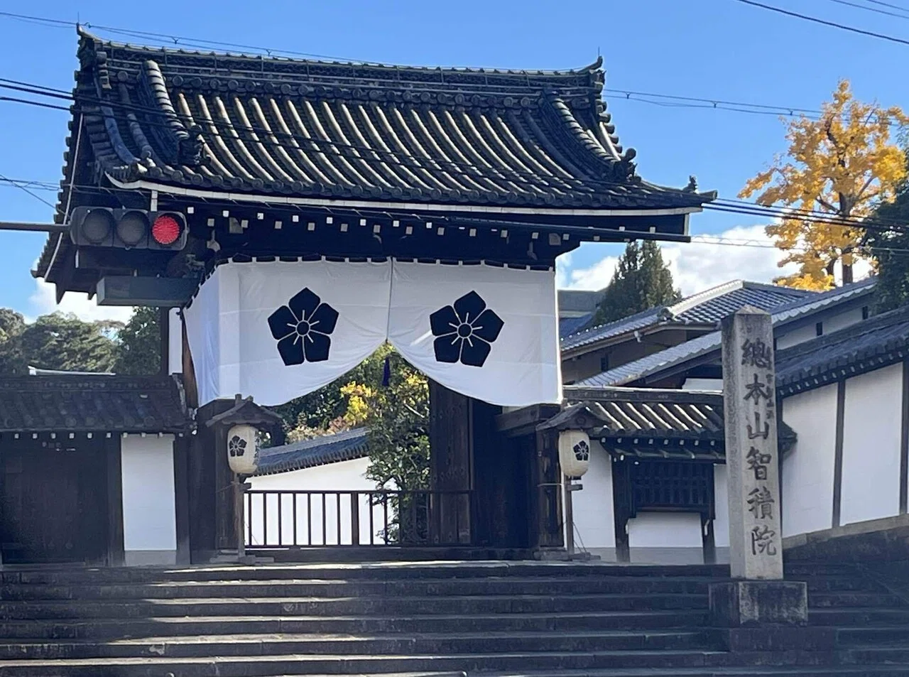 京都に来ています。智積院〜三十三間堂〜豊国神社、方広寺｜さとうけいこ