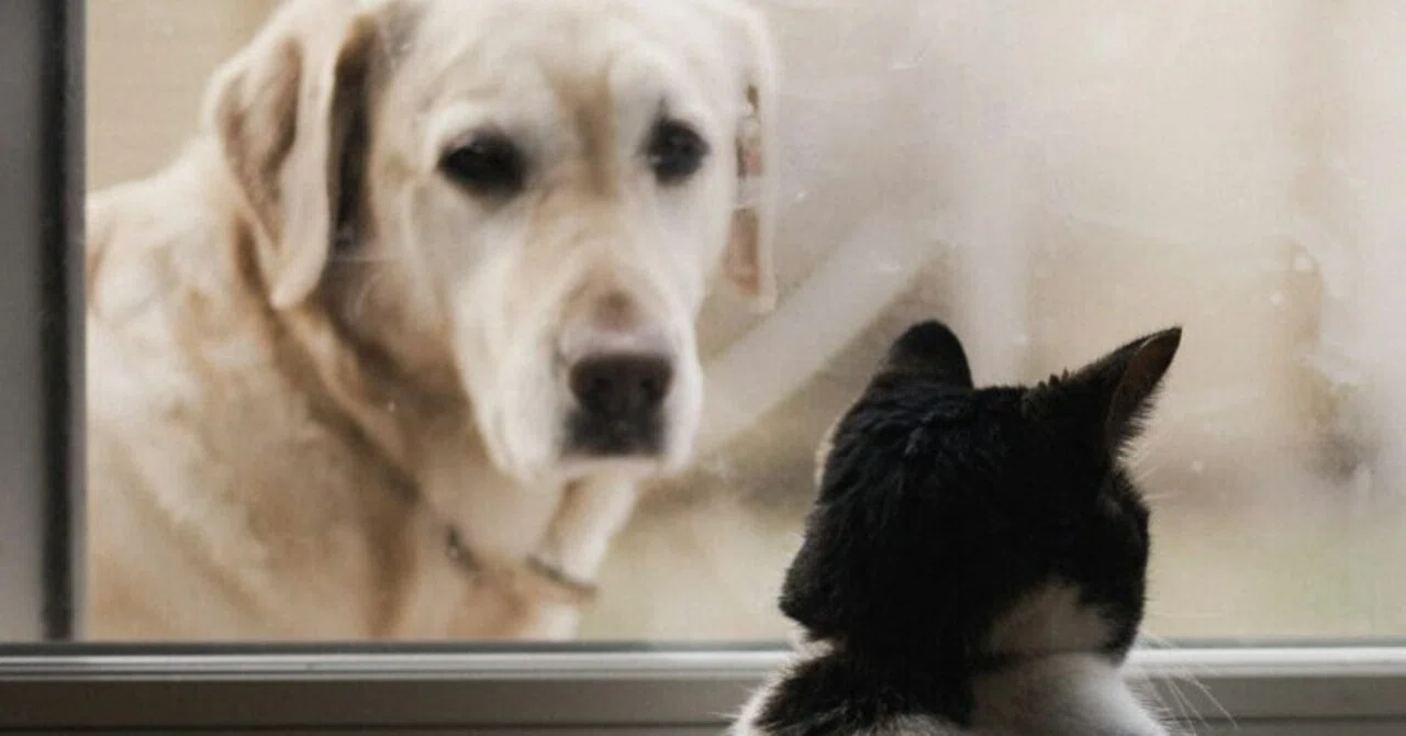Reflecting is difficult. - Reflection is not about blaming yourself ...