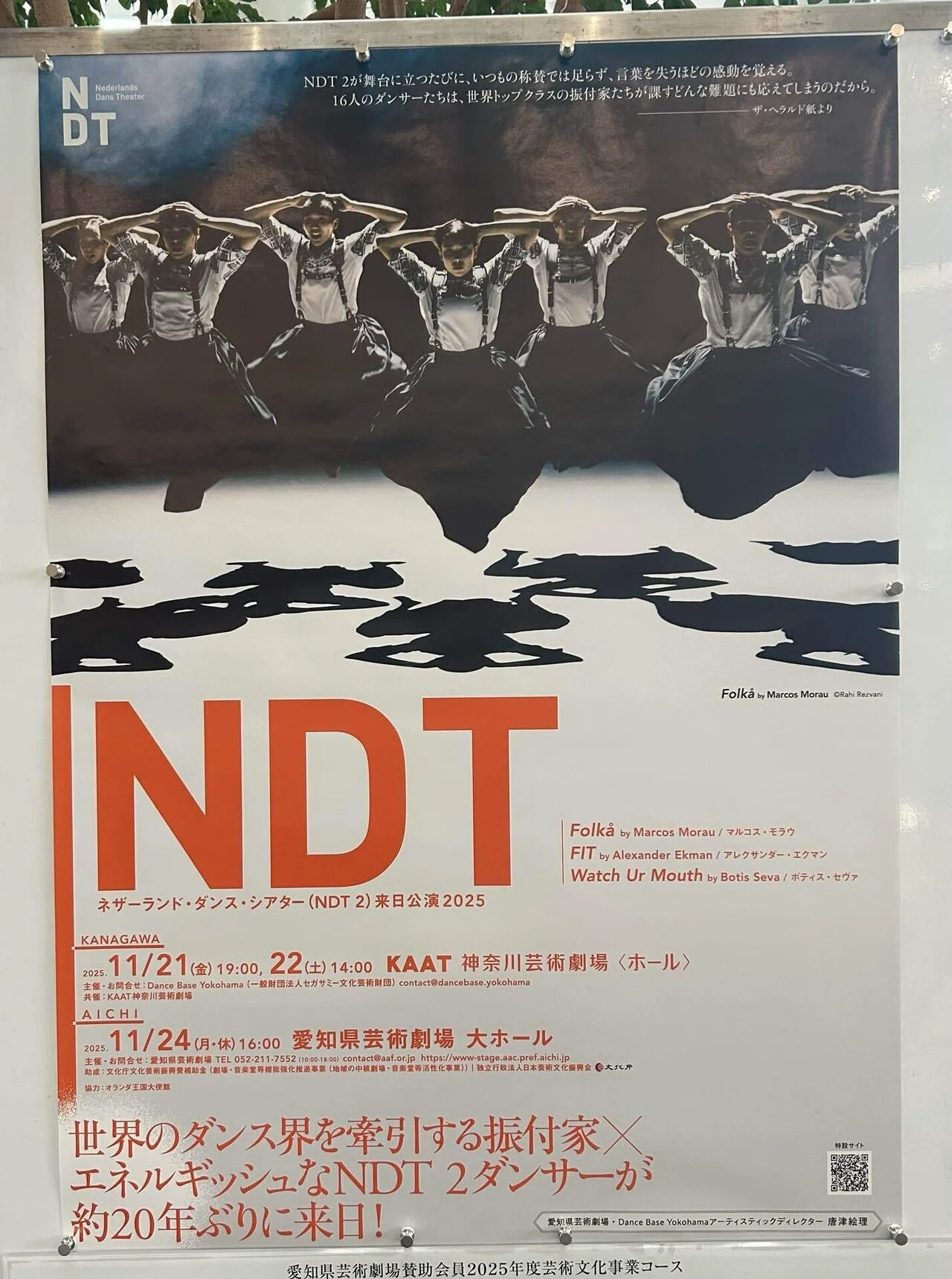 ネザーランド・ダンス・シアター（NDT2） 来日公演2025 ｜yukie