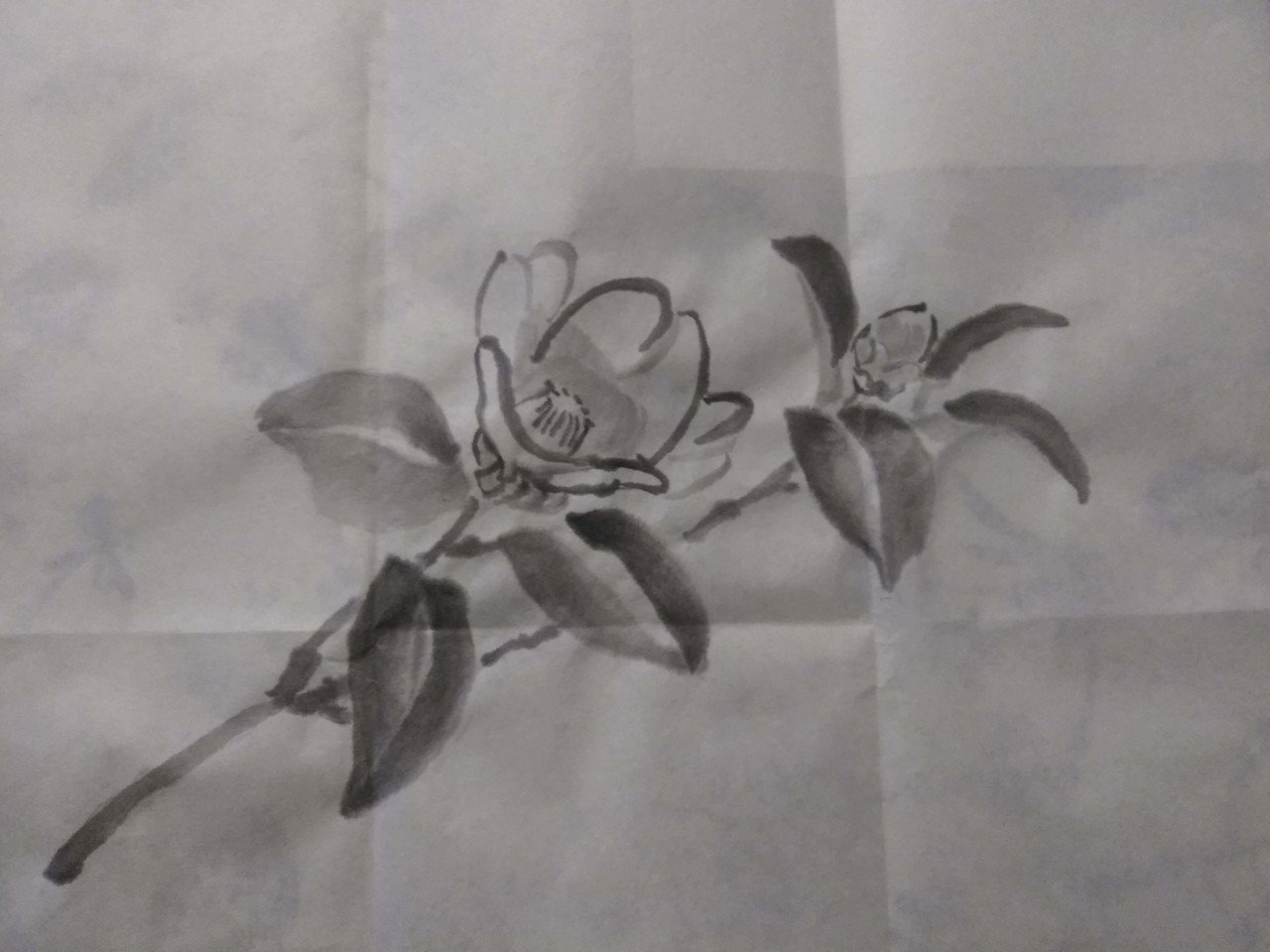 水墨画 椿 塚田裕介 Note 水墨画 椿 塚田裕介 Note