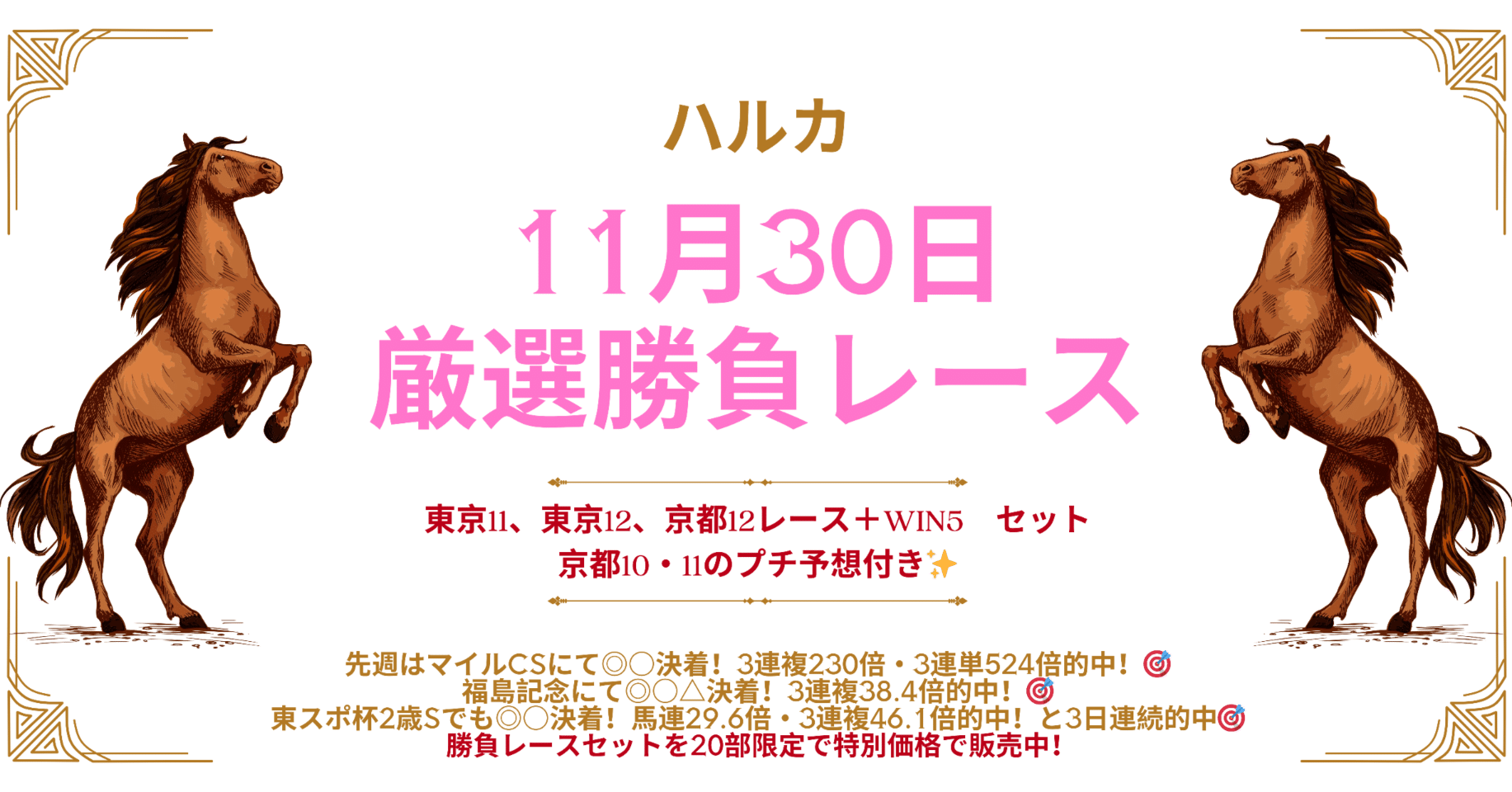 20部限定】11月30日厳選勝負レース 東京11レース、東京12レース、京都