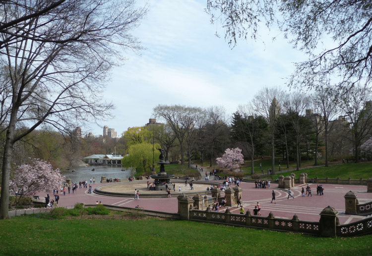 こんにちは。前回の続きで、過去のアルバムからセントラル・パークのお散歩、の後半です。一日中歩いても、回りきれない、大きな公園です。前回は、桜がメインでピンク色、今回は少し黄色も入れていきますね。